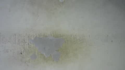 Bella online show from 02.27.26