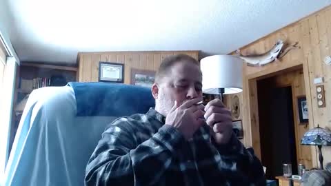 horsebigballs online show from 02.08.25