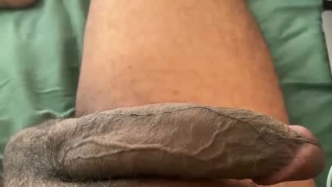 Bbc horsey online show from 01.12.26