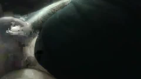 hotcream259 online show from 01.09.25