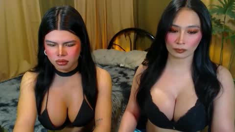 EVA online show from 10.11.25