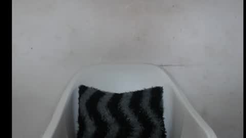 Snapshot of hotjessie0 chatting on 10.03.25 hotjessie0 online show from 10.03.25