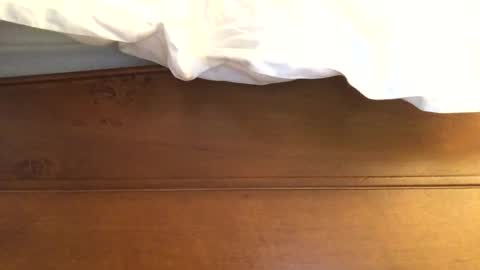 Snapshot of hotmuff99 chatting on 02.11.25 hotmuff99 online show from 02.11.25