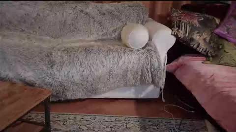 Snapshot of hotpeppersx chatting on 10.31.25 Betty boob online show from 10.31.25