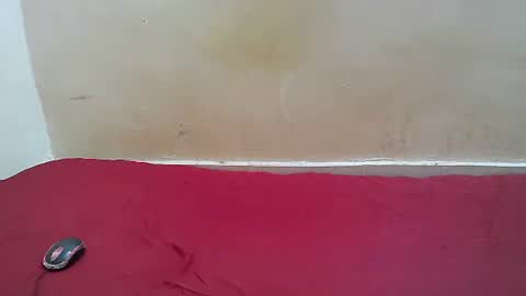 Snapshot of hotpussy1225 chatting on 11.10.25 hotpussy1225 online show from 11.10.25