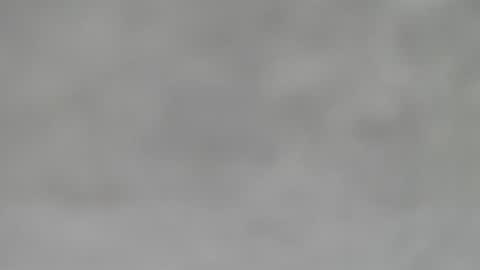 Snapshot of hourg chatting on 01.31.25 Slutty little female cat online show from 01.31.25