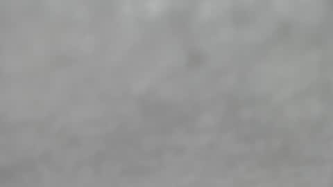 Snapshot of hourg chatting on 10.12.25 Slutty little female cat online show from 10.12.25