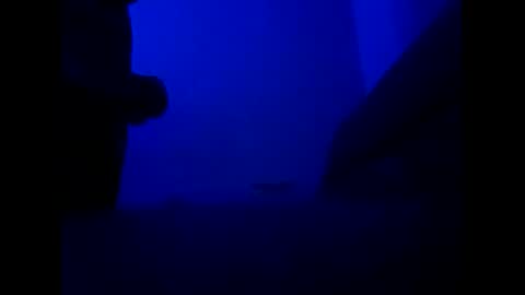 htxsaucehoggn online show from 03.31.26