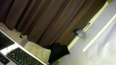 Precious online show from 12.29.24