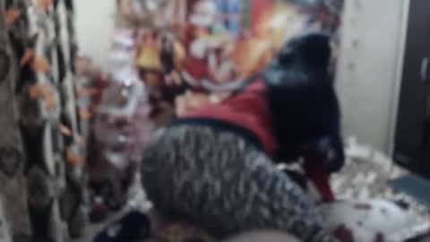 Snapshot of hugeassdevil chatting on 01.23.25 hugeassdevil online show from 01.23.25