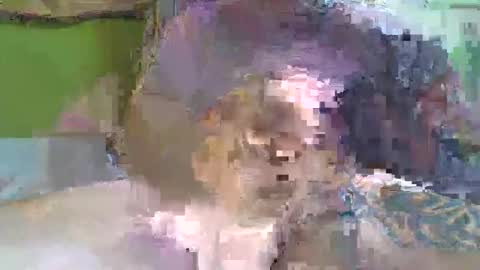 hugo_theboss_ online show from 02.08.25