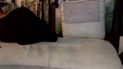 huippari online show from 12.08.24