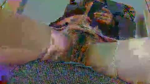 Snapshot of hujiajia520321431 chatting on 11.10.25 hujiajia520321431 online show from 11.10.25