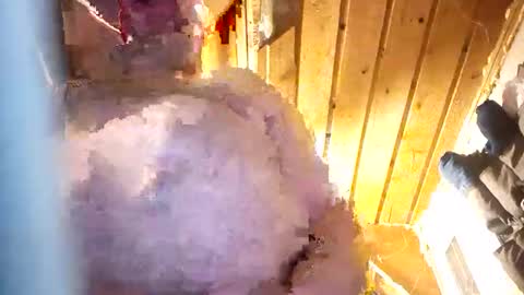 hung34u online show from 01.08.26