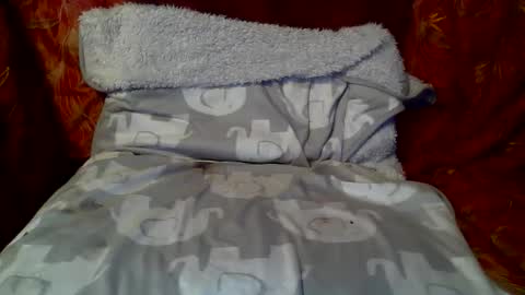 Snapshot of hungc2c420 chatting on 05.22.26 hung420boner online show from 05.22.26