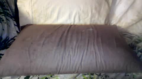 Snapshot of hungc2c420 chatting on 06.12.26 hung420boner online show from 06.12.26