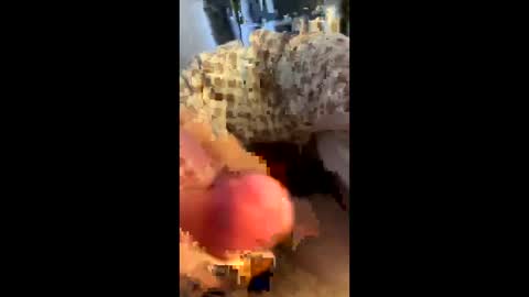 Snapshot of hungminer69 chatting on 04.12.26 hungminer69 online show from 04.12.26