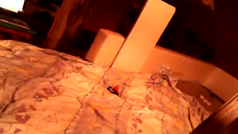 Snapshot of hungryanalslut chatting on 02.18.25 hungryanalslut online show from 02.18.25