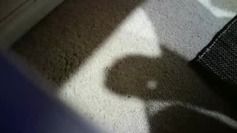 Hypeman online show from 02.14.26