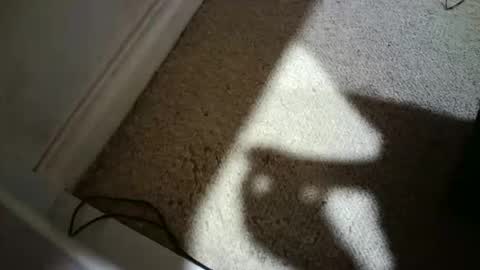 Hypeman online show from 02.17.26