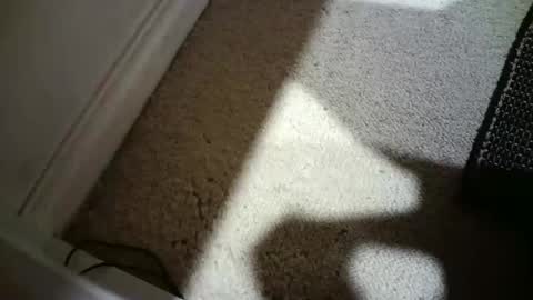 Hypeman online show from 02.18.26