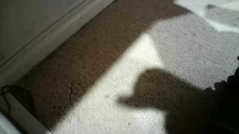 Hypeman online show from 02.26.26