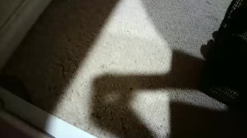 Hypeman online show from 02.27.26