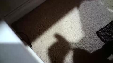 Hypeman online show from 04.12.26