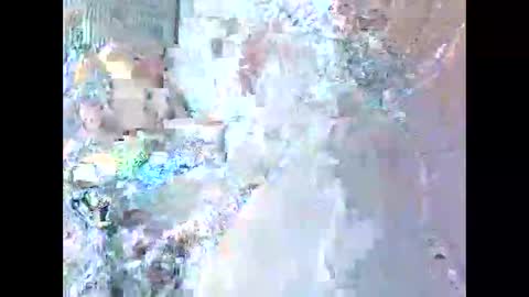 jamaeca online show from 11.20.25