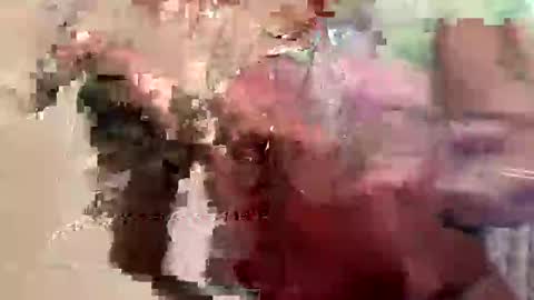 First Lady online show from 02.14.25