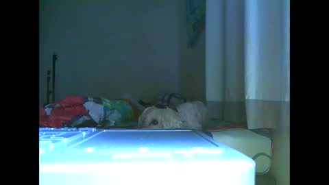 Ian is back my loves online show from 11.07.25