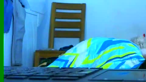 Samuel igsamuelnoguera 1333 online show from 01.26.25