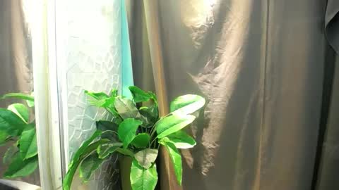 Snapshot of icy_heartxoxox chatting on 02.03.26 Heart online show from 02.03.26