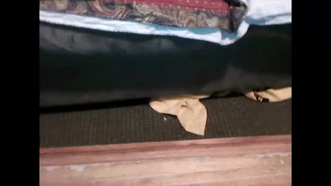 idkwhyidothis348732 online show from 01.05.25