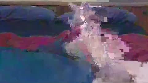 Snapshot of ihavebigballs00 chatting on 12.17.24 ihavebigballs00 online show from 12.17.24