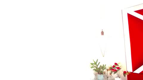 Isabella online show from 11.14.25