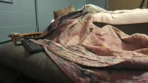 Ryan online show from 10.10.25