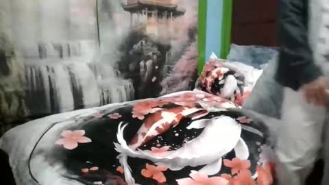 ilovebunny69 online show from 11.19.25