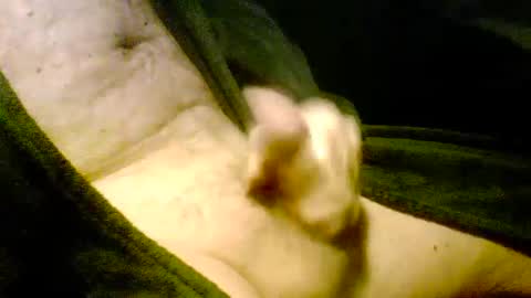 Iluvj2jizz4u online show from 01.07.25