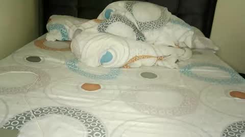 im7740 online show from 02.04.26