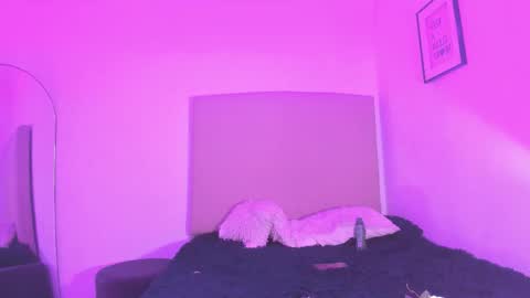 im tiffany  online show from 02.08.26