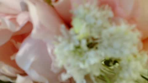 Carrie online show from 03.03.25