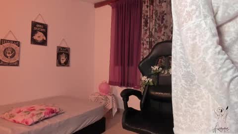 Snapshot of imsrbatman chatting on 02.13.25 Aurora online show from 02.13.25