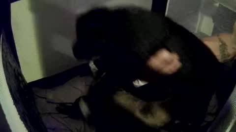 Snapshot of imtru chatting on 02.14.25 imtru online show from 02.14.25