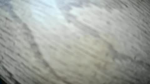 imyobes online show from 01.15.26