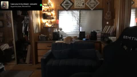 Snapshot of incognitoqueen chatting on 10.12.25 Carter online show from 10.12.25