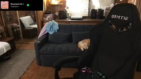 Snapshot of incognitoqueen chatting on 07.31.26 Carter online show from 07.31.26