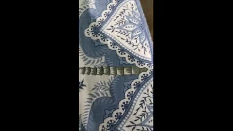 Indian desi6969 online show from 03.30.26