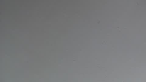 Snapshot of indianajoe69andfriend chatting on 01.11.25 Indiana Joe 69 and Friend online show from 01.11.25