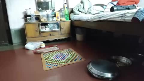 Snapshot of indianjhonnysins chatting on 03.12.26 BOREDILDO online show from 03.12.26